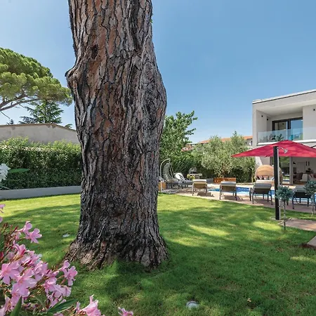 Vikendica Cozy In Cervar With Sauna Porec